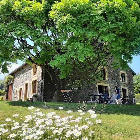 La Maison des Marguerites Vresse-sur-Semois Extérieur photo