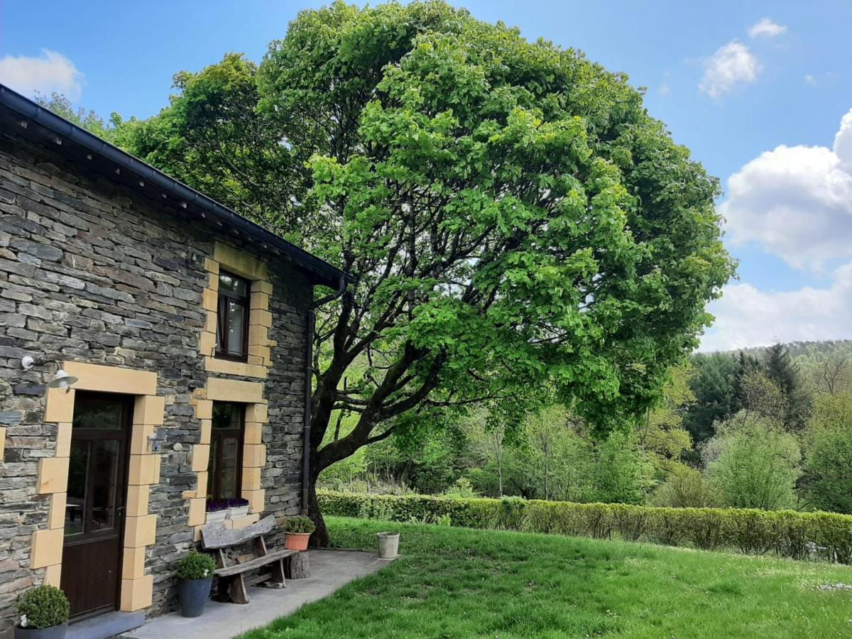 La Maison des Marguerites Vresse-sur-Semois Extérieur photo
