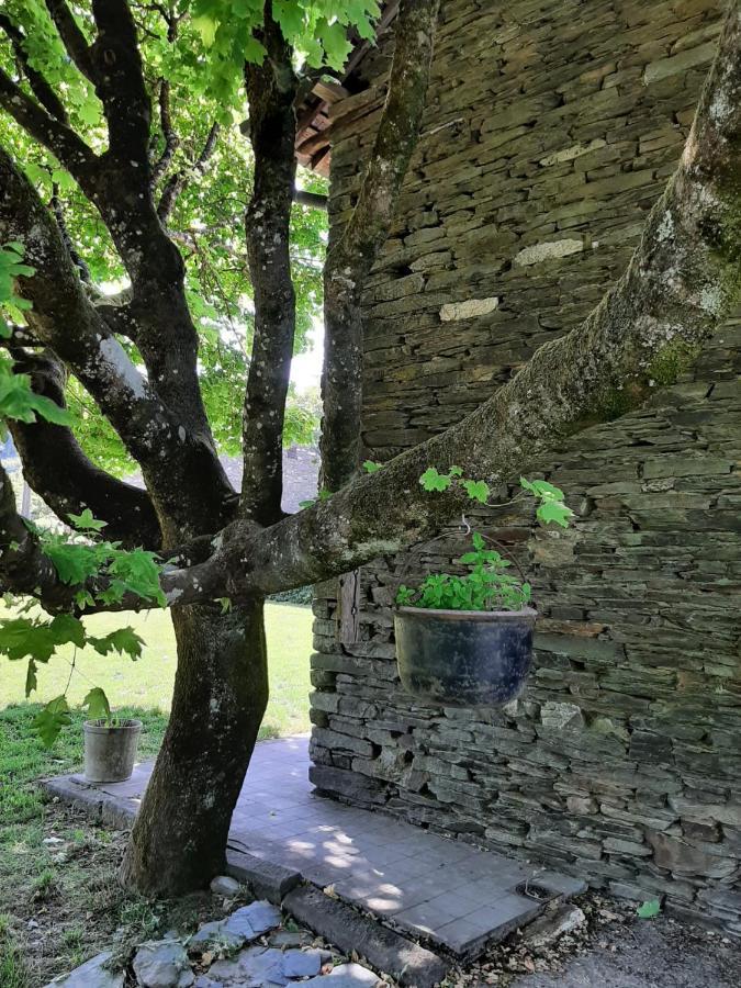 La Maison des Marguerites Vresse-sur-Semois Extérieur photo
