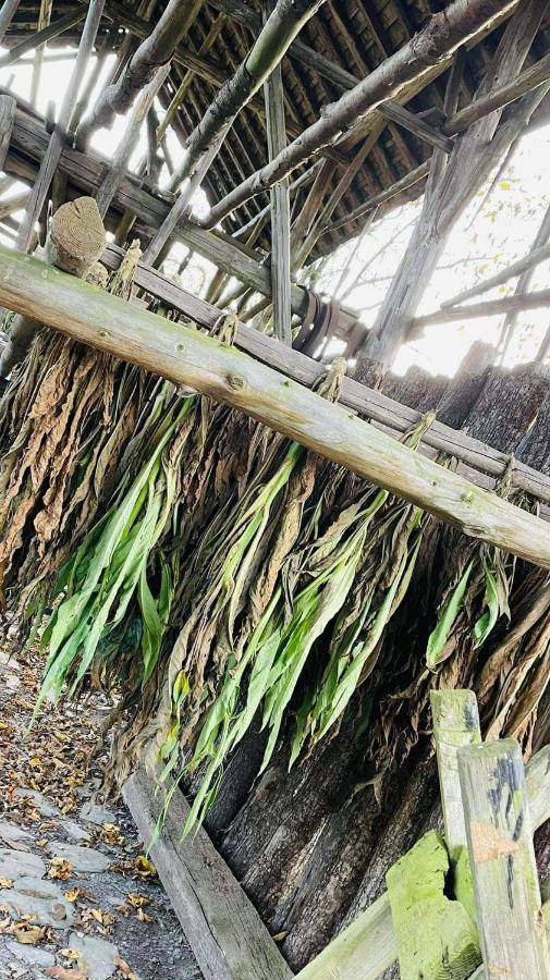 La Maison des Marguerites Vresse-sur-Semois Extérieur photo
